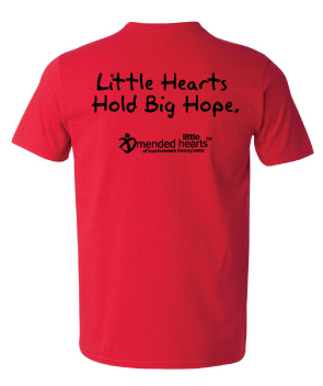 Zipper Design - Little Hearts Hold Big Hope! Crew Neck - Youth and Adult